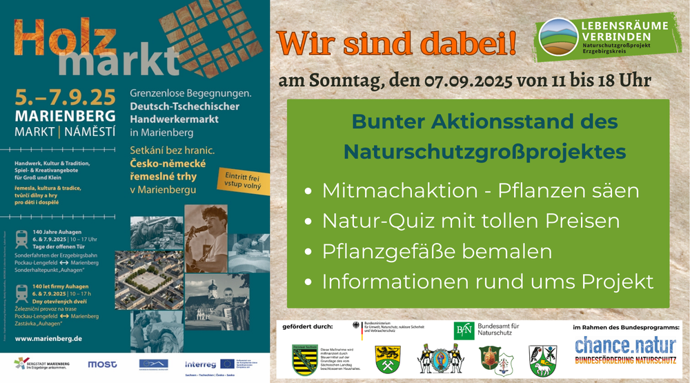 Einladung zum Informationsstand des Naturschutzgroßprojektes im Erzgebirgskreis am 07.09.2025 von 11 bis 18 Uhr auf dem Holzmarkt in Marienberg